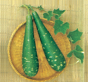 দেশি লাউ বীজ-ক্ষেত |লাল তীর|OP Bottle Groud Seed-Khet|Lal Teer