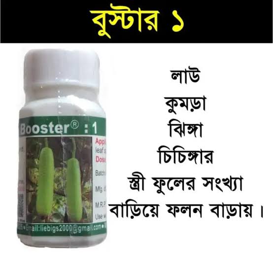 বুস্টার - ১। পিজিআর। লাউ।বিদেশি পণ্য। Booster-1। PGR