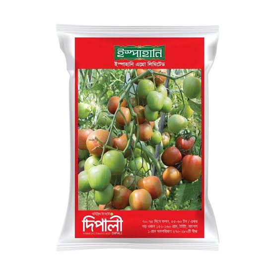 দিপালী-হাইব্রিড টমেটো বীজ|ইস্পাহানি এগ্রো|Dipali-Hybrid Tomato Seed|Ispahani Agro