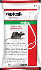 Katta qora xoroz xotinini sikadi Katta qora xoroz xotinini sikadi