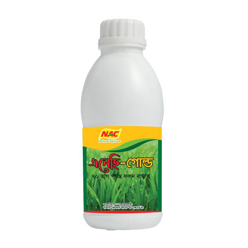 এনেসি গোল্ড