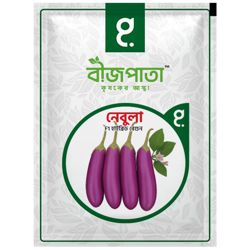 নেবুলা এফ১-হাইব্রিড বেগুন বীজ|বীজপাতা|Nebula- Eggplant Seed|Bizpata
