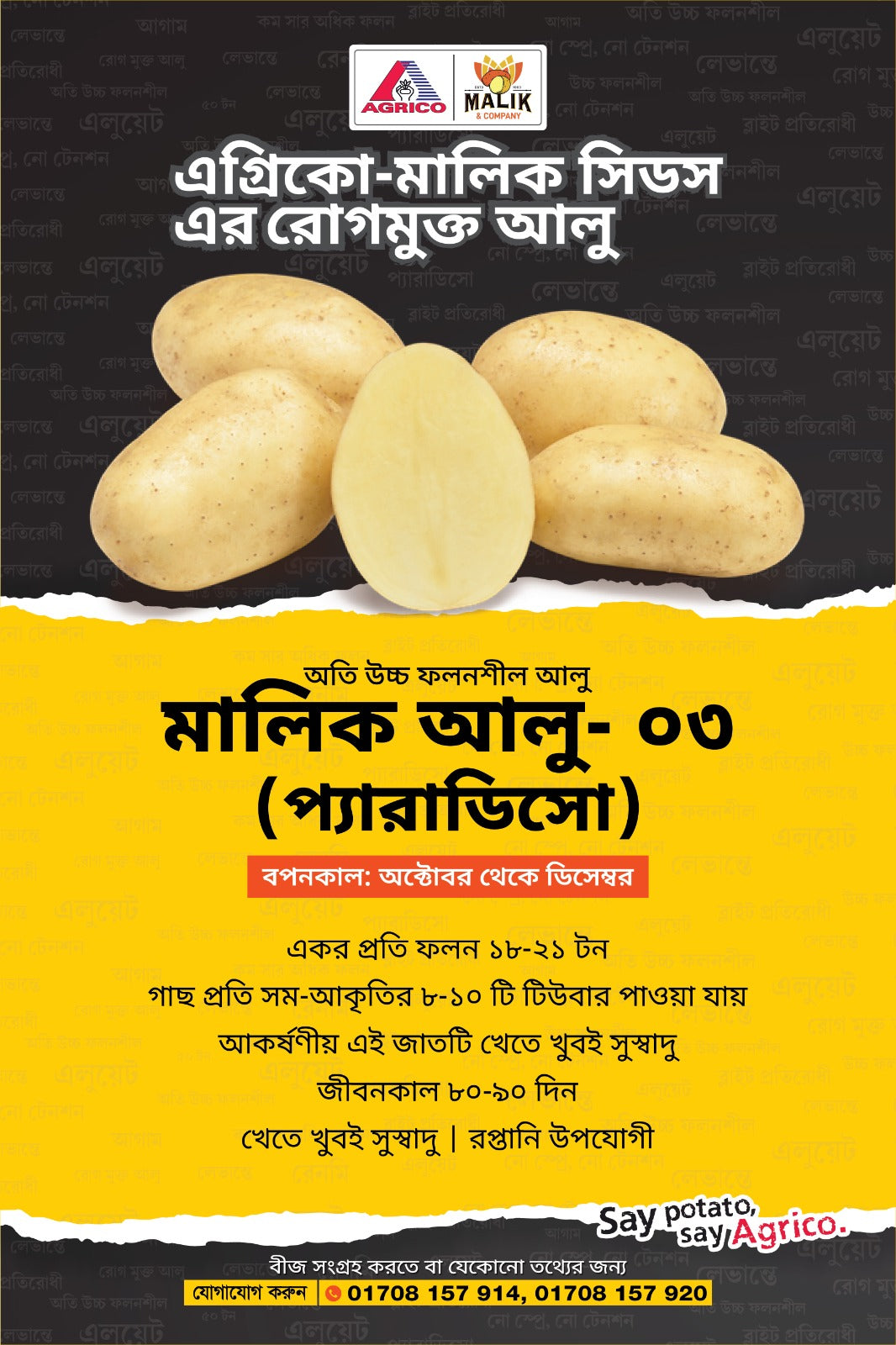 সাদা আলু বীজ-প্যারাডিসো(Paradiso)। এ আর মালিক সীডস।অগ্রীম বুকিং চলছে