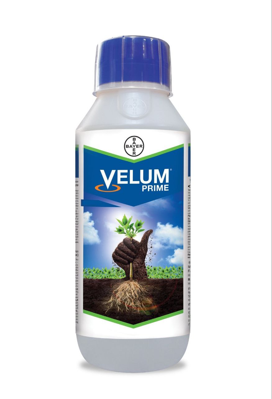 ছত্রাকনাশক-ভেলাম প্রাইম|বিদেশি পণ্য।Fungicide-|velum prime|Bayer