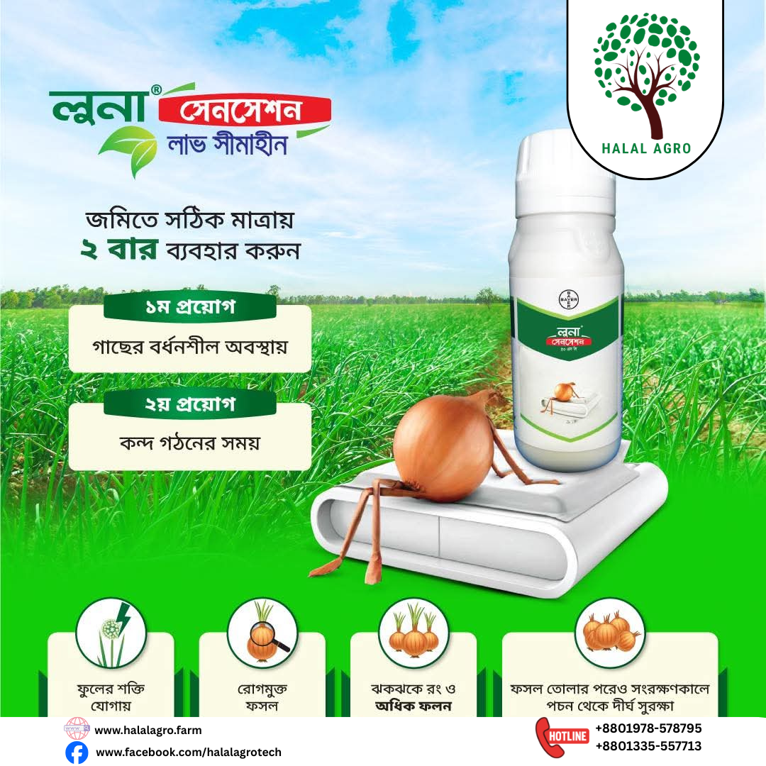 লুনা সেনসেশন(ফ্লুপাইরাম+ট্রাইফ্লক্সিস্ট্রবিন)|ছত্রাকনাশক-বায়ার|Luna Sensation(Flupyram + Trifloxystrobin)|Fungicide-Bayer|