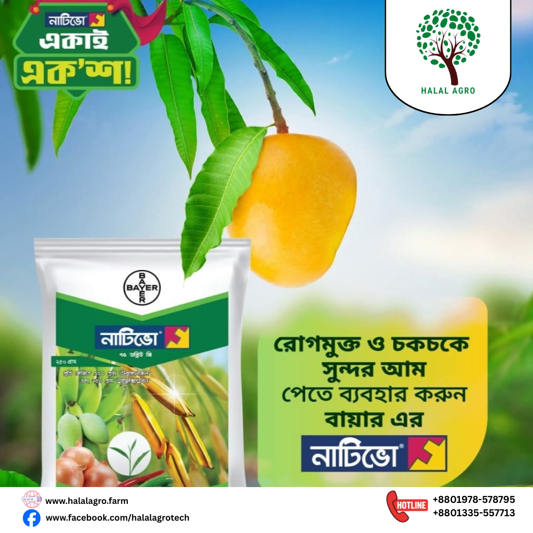 নাটিভো ৭৫ ডব্লিউ জি(টেবুকোনাজল + ট্রাইফ্লক্সিস্ট্রবিন )|ছত্রাকনাশক-বায়ার|Nativo 75 WG(Tebuconazole + Trifloxystrobin)|Fungicide-Bayer