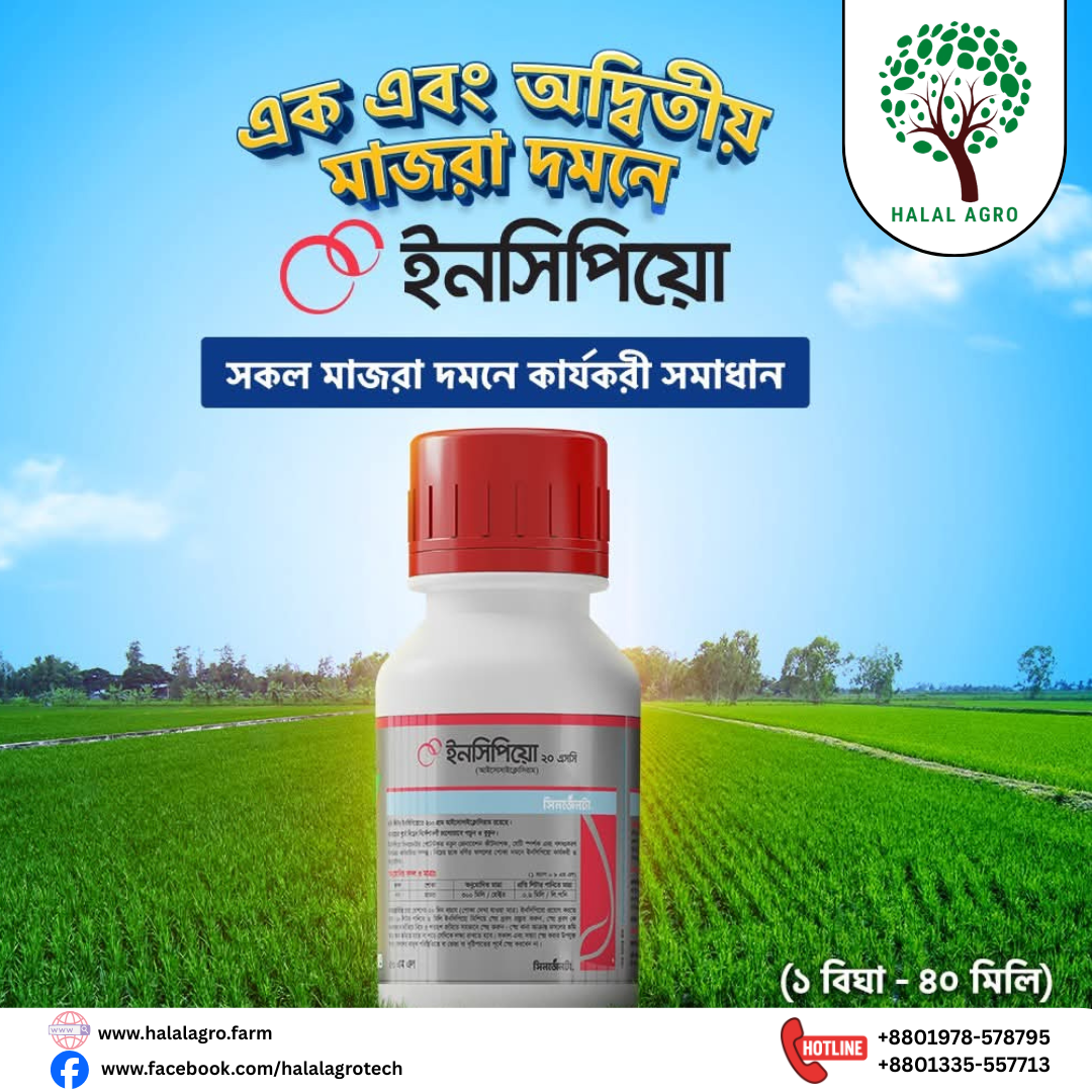 ইনসিপিয়ো কীটনাশক | আইসোসাইক্লোসিরাম (Isocycloseram) সিনজেনটা | Incipio Insecticide | Syngenta