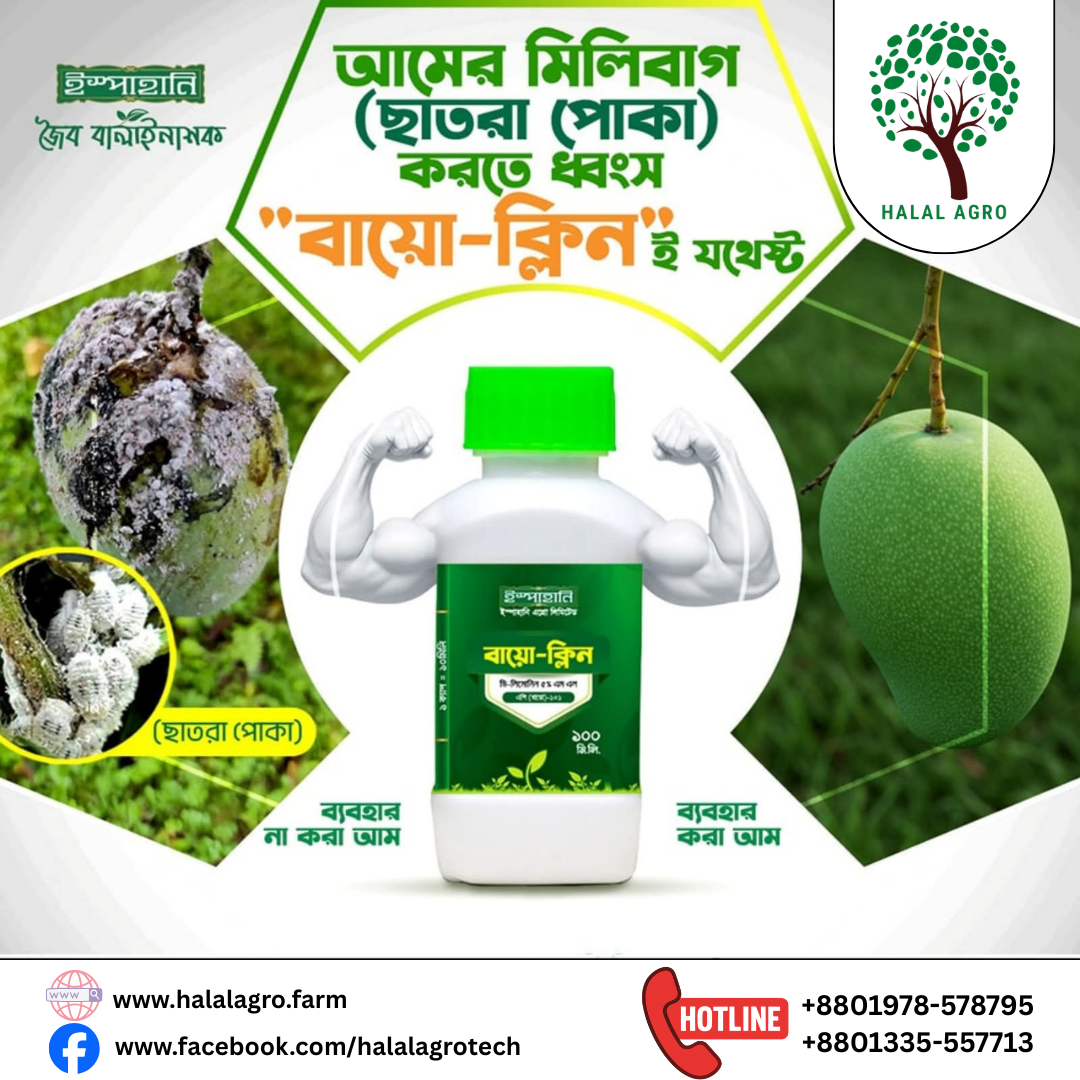 ইস্পাহানি বায়ো-ক্লিন (Bio-Clean)- জৈব বালাইনাশক-ছাতরা পোকা (মিলিবাগ) এবং সাদা মাছি দমনে কার্যকরী।