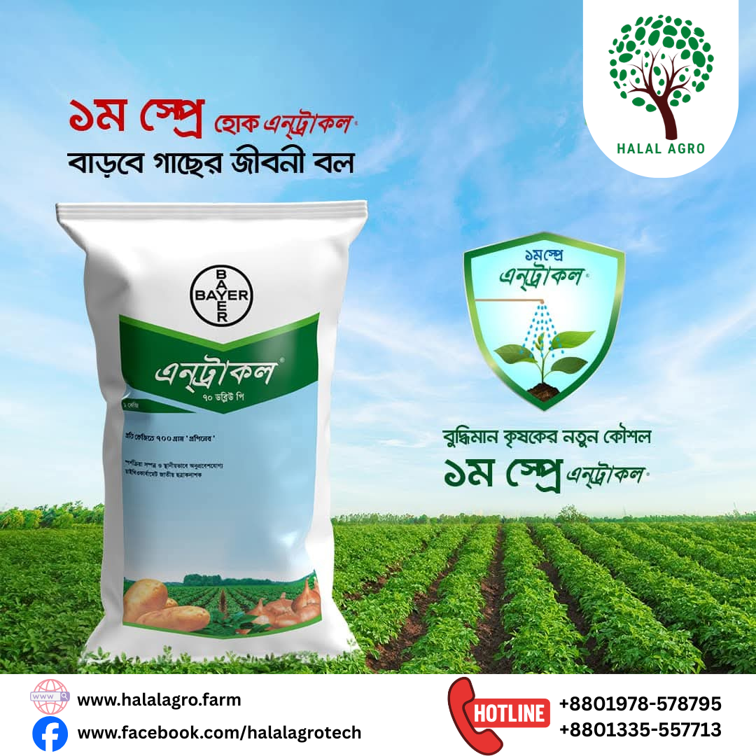 এনট্রাকল ৭০ ডব্লিউ পি (প্রোপিনেব ৭০%)|ছত্রাকনাশক-বায়ার|Entracol 70 WP (Propineb 70%) | Fungicide-Bayer |