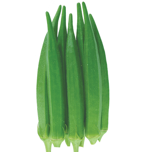 হাইব্রিড ঢেঁড়স-সুপার সুমি ।এ আর মালিক সীডস ।।Hybrid Okra-Super Shomy।AR Malik Seeds