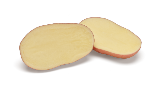 লাল আলু বীজ-কোরাজন(Corazon)। এ আর মালিক সীডস