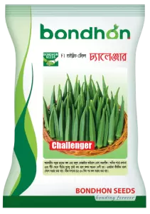 Katta sik Ayollar bilan rus porno