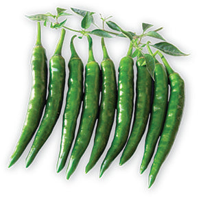 প্রিমিয়াম হাইব্রিড মরিচ - হালাল এগ্রো ফার্ম - Premium Hybrid Chilli Seed - Halal Agro Farm