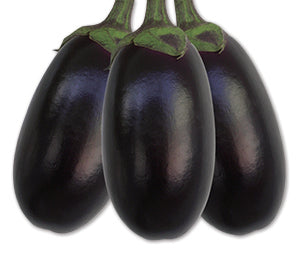 লাবনী হাইব্রিড বেগুন - হালাল এগ্রো ফার্ম - Laboni Hybrid Eggplant Seed - Halal Agro Farm