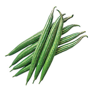 ঢাকা গ্রীন চিচিঙ্গা - হালাল এগ্রো ফার্ম - Dhaka Green Snake Gourd Seed - Halal Agro Farm