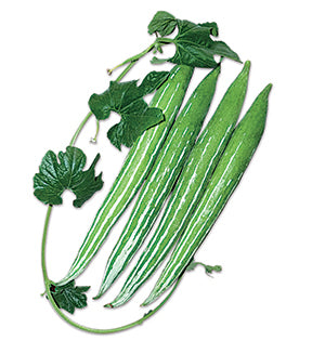 পদ্মা হাইব্রিড চিচিঙ্গা - হালাল এগ্রো ফার্ম - Padma Snake Gourd Seed - Halal Agro Farm