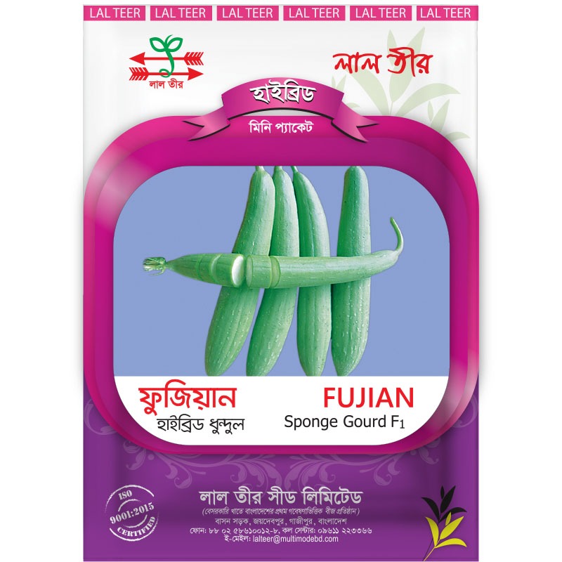 Kokraklar ustida Sado maso porno mumi