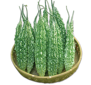 টিয়া হাইব্রিড করলা - হালাল এগ্রো ফার্ম - Tia Bitter Gourd Seed - Halal Agro Farm