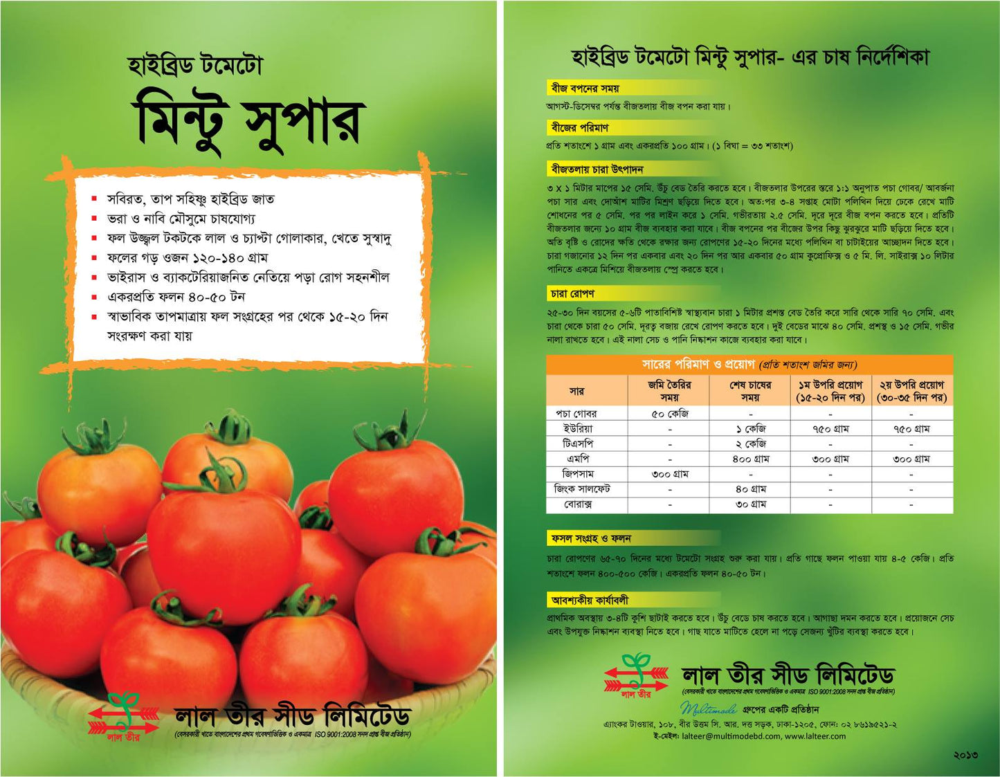 মিন্টু সুপার হাইব্রিড টমেটো