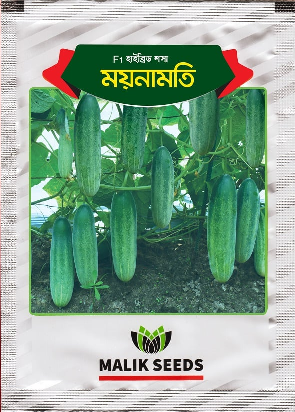 ময়নামতি। হাইব্রিড শসা বীজ । মালিক সীডস । Moynamoti । Hybrid Cucumber Seed । Malik Seeds