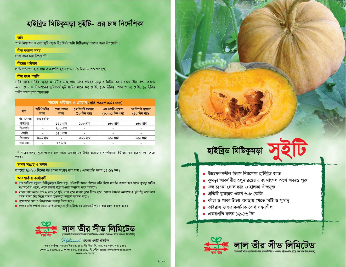 সুইটি মিস্টি কুমড়া