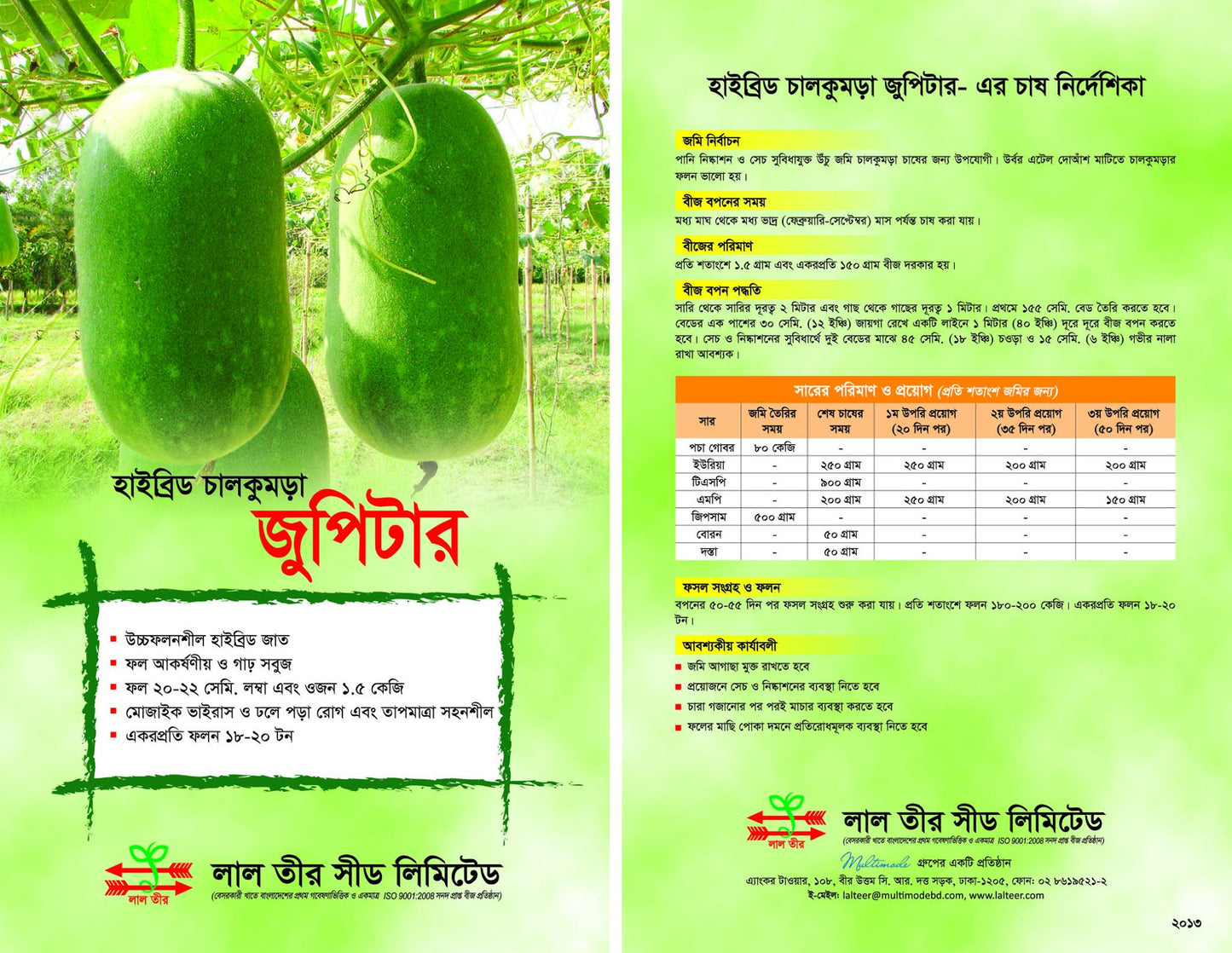 জুপিটার হাইব্রিড চালকুমড়া