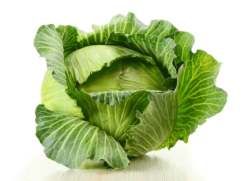 Halal Agro Tech cabbage seed collection image