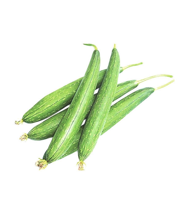 ধুন্দুল বীজ