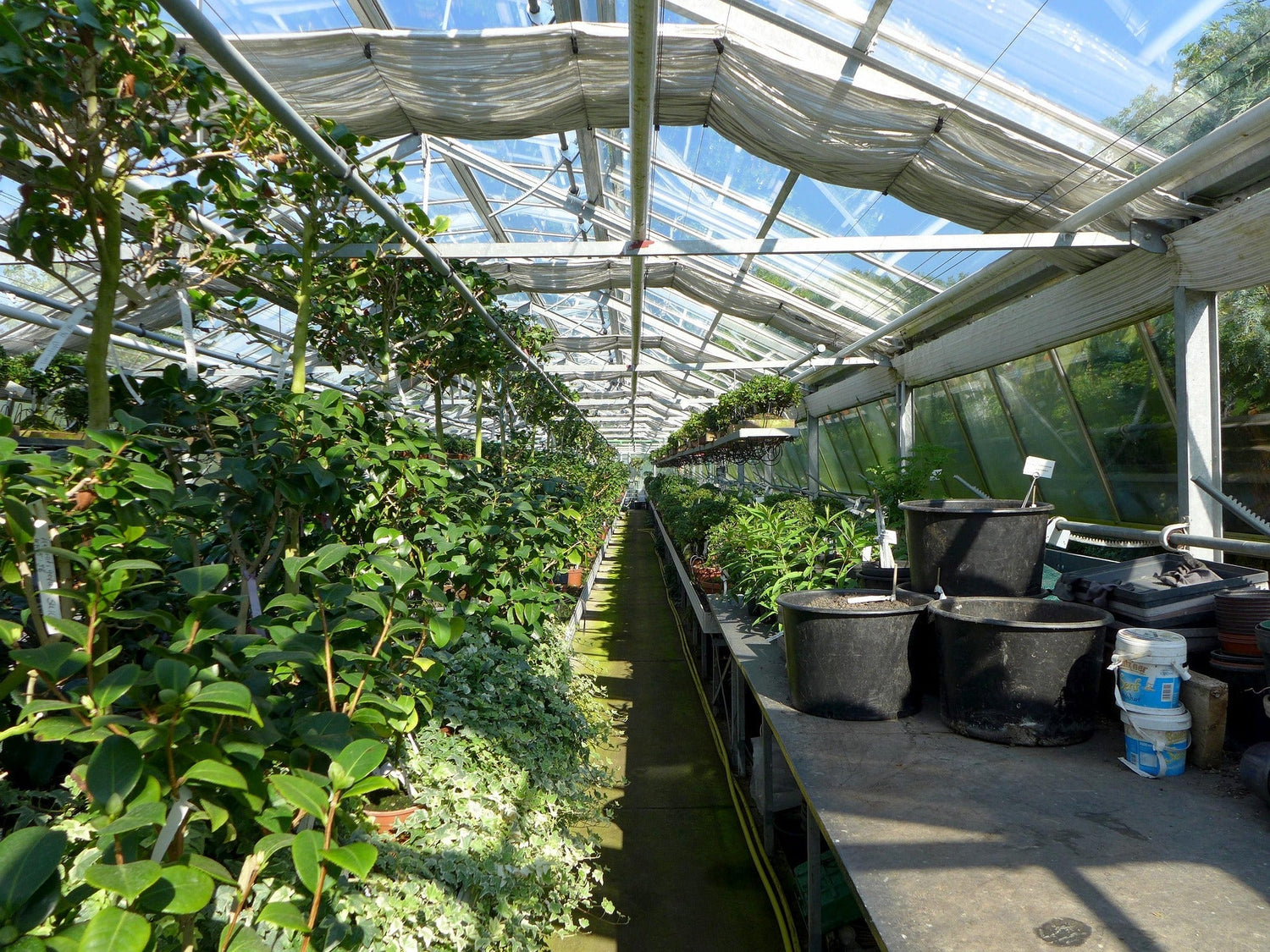 Halal Agro Tech nursery collection