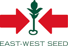 East West seed