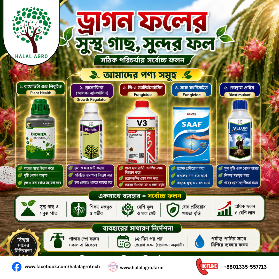 dragon fruit farming products
