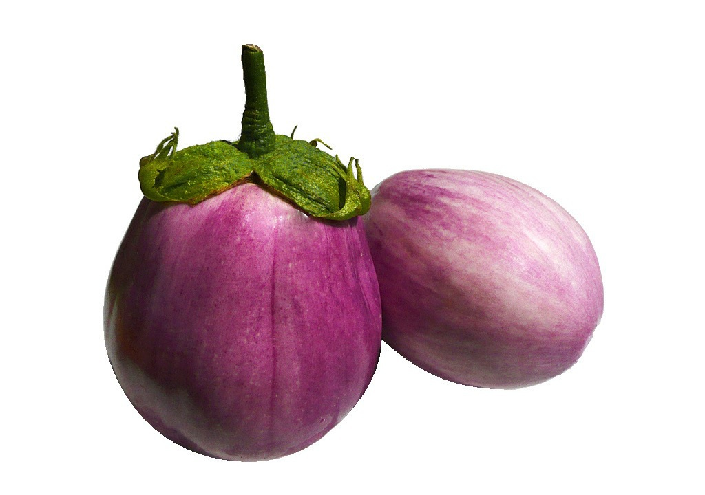 বেগুন - হালাল এগ্রো ফার্ম - eggplant - Halal Agro Farm