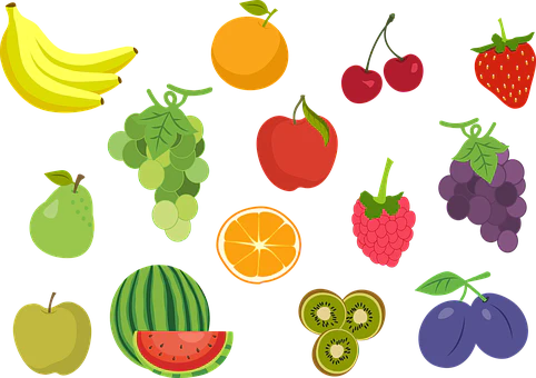 ফল বীজ - হালাল এগ্রো ফার্ম - fruit seeds - Halal Agro Farm