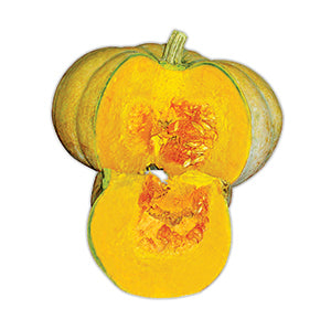কুমড়া - হালাল এগ্রো ফার্ম - pumpkin - Halal Agro Farm