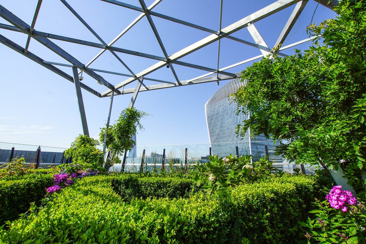 ছাদ কৃষি - হালাল এগ্রো ফার্ম - Rooftop Farming - Halal Agro Farm