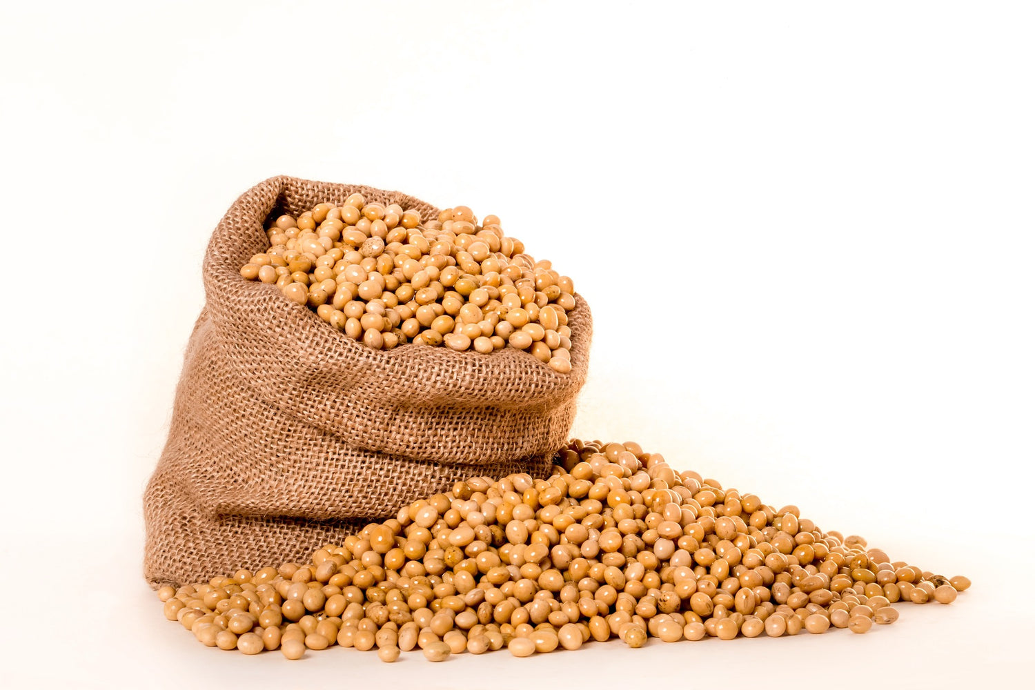 বীজ - হালাল এগ্রো ফার্ম - Seeds - Halal Agro Farm