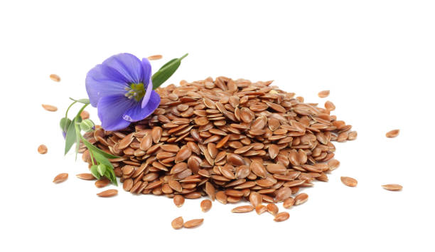 ফুল বীজ - হালাল এগ্রো ফার্ম - flower seeds - Halal Agro Farm