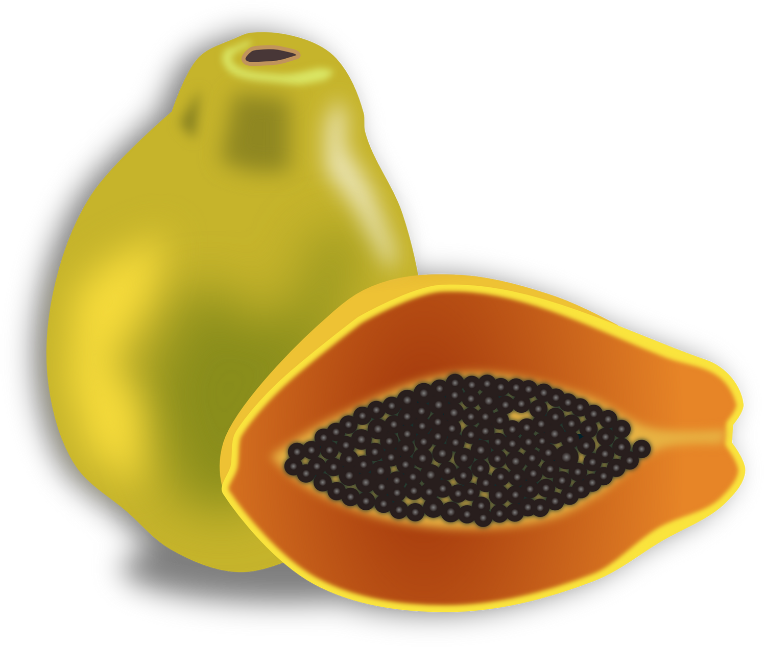 পেঁপে বীজ