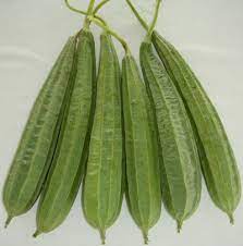 ঝিঙ্গা বীজ