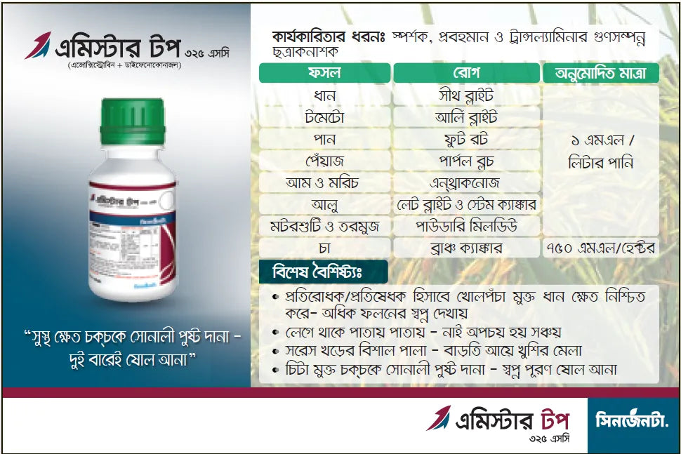 এমিস্টার টপ