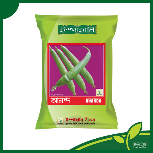 আনন্দ-হাইব্রিড ধুন্দল বীজ|ইস্পাহানি এগ্রো|Anondo-Hybrid Sponge Gourd Seed|Ispahani Agro