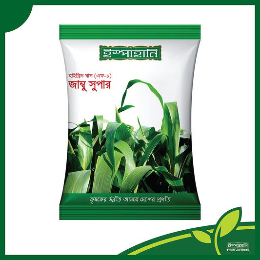 হাইব্রিড ঘাস-জাম্বু সুপার।খয়ারি ঘাস।ইস্পাহানি এগ্রো।Hybrid grass-Jambo super। Ispahani Agro