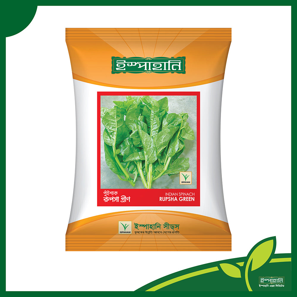 রুপসা গ্রীণ-হাইব্রিড পুইশাক বীজ|ইস্পাহানি এগ্রো|Rupsa Green-Hybrid Indian Spinach Seed|Ispahani Agro