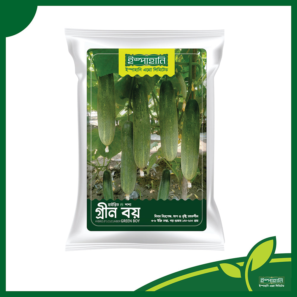 গ্রীন বয়-হাইব্রিড শসা বীজ|ইস্পাহানি এগ্রো|Green Boy-Hybrid Cucumber Seed|Ispahani Agro