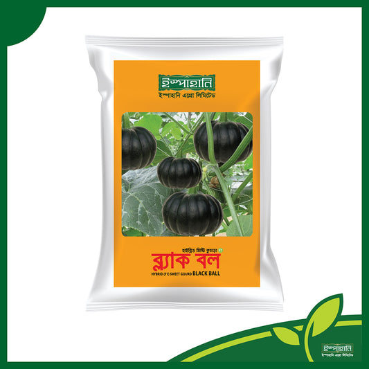 হাইব্রিড মিষ্টিকুমড়া ব্লাক বল