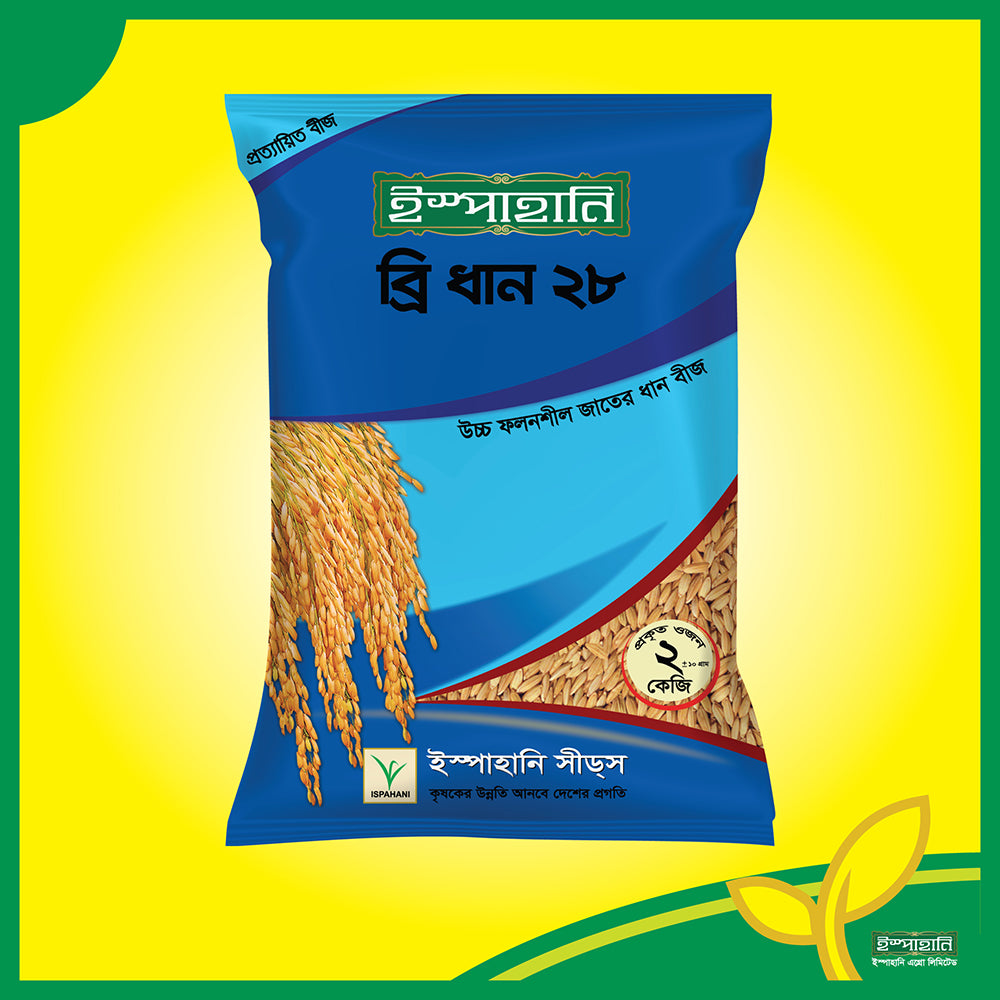 ব্রি ধান- ২৮ ।ইস্পাহানি এগ্রো।BRRI dhan-28।Ispahani Agro