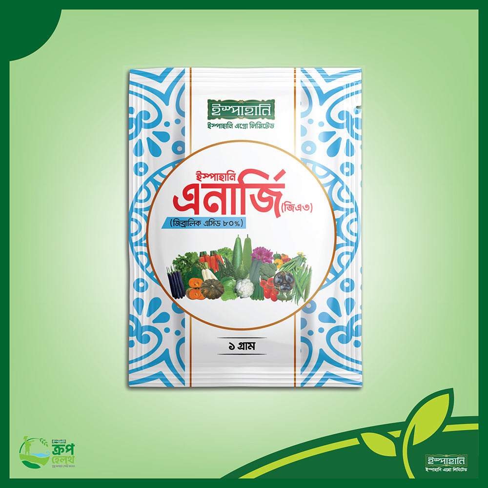 এনার্জি-জিএ৩ ৮০% পাউডার