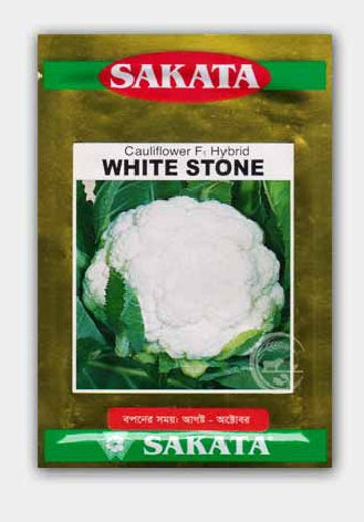 হাইব্রিড ফুলকপি হোয়াইট স্টোন