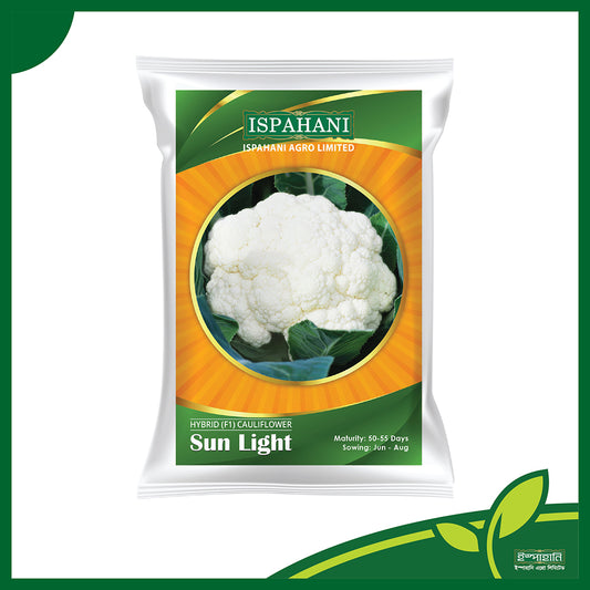 Sun Light F1 হাইব্রিড ফুলকপি বীজ | ইসপাহানী এগ্রো লিমিটেড | প্রিমিয়াম কোয়ালিটি