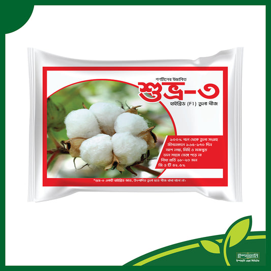 শুভ্র-৩ তুলা। হাইব্রিড তুলা বীজ।  ইস্পাহানি এগ্রো। suvro -3 ।cotton seed । ispahani seeds।জিবন কাল ১৬০-১৭০ দিন